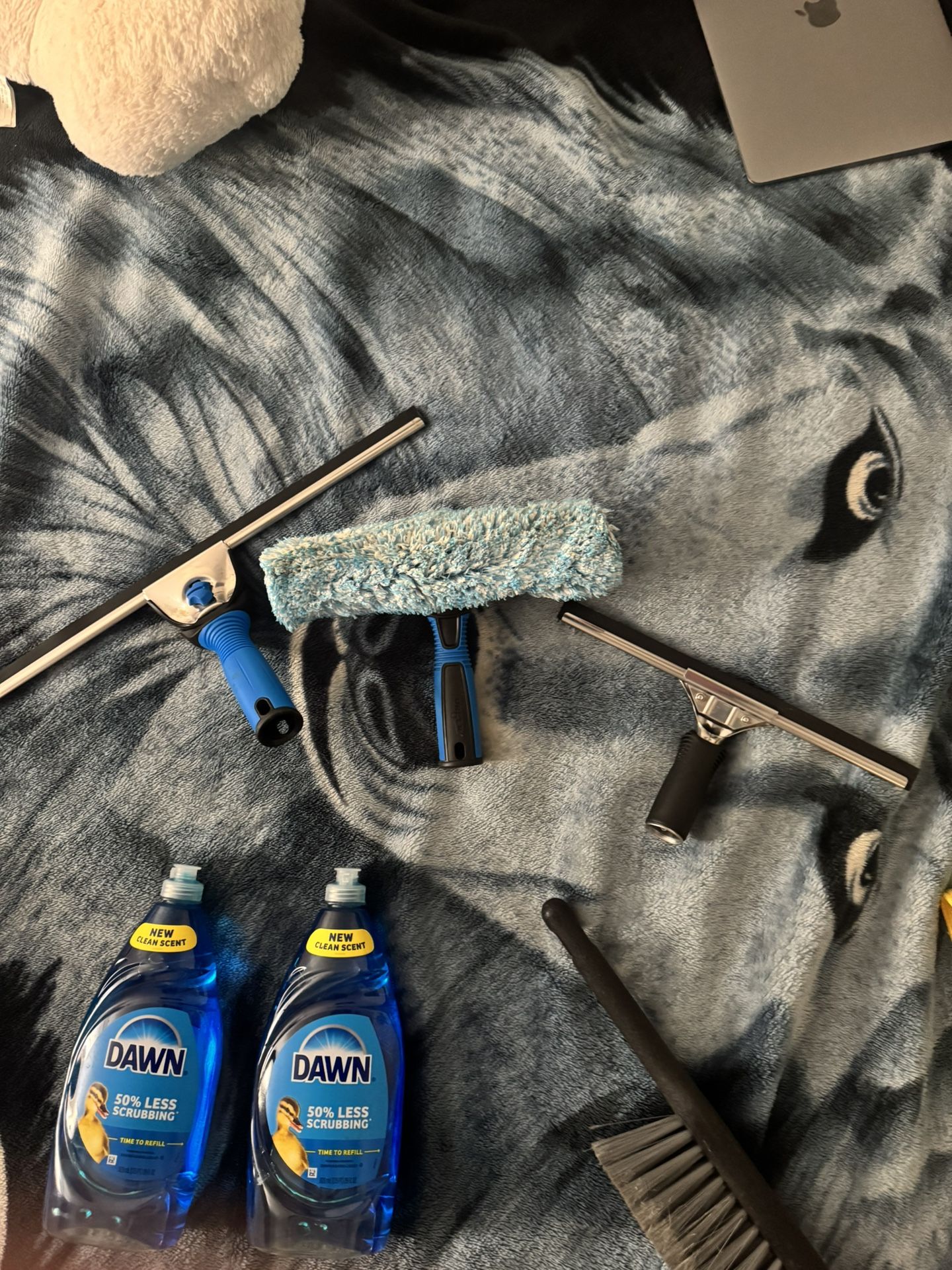 Side Hustle Window Cleaning