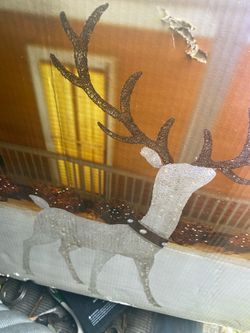 8ft 6in Led deer with jingle bell collar