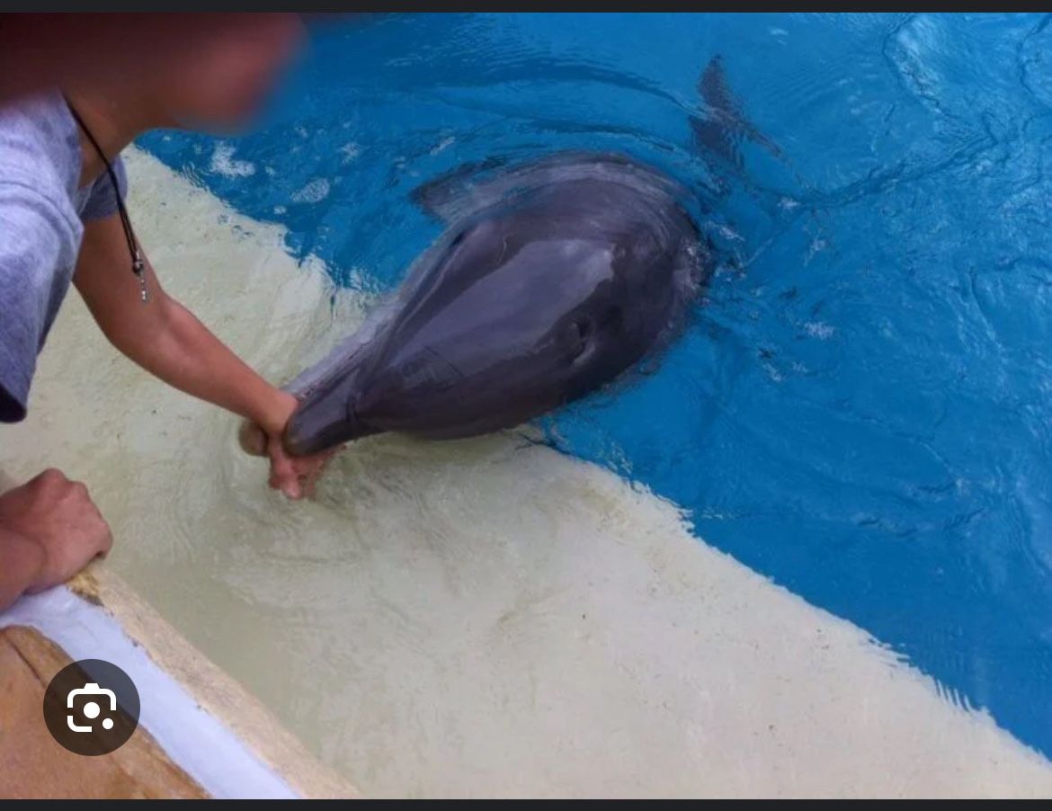 Seaworld Tickets / Boletos