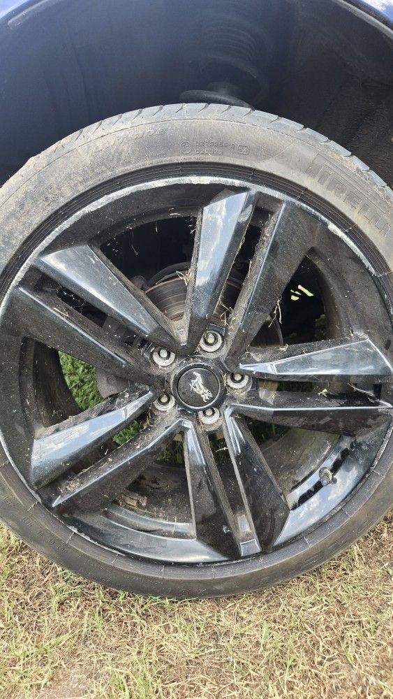 Mustang Wheels