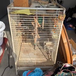 Bird Cage