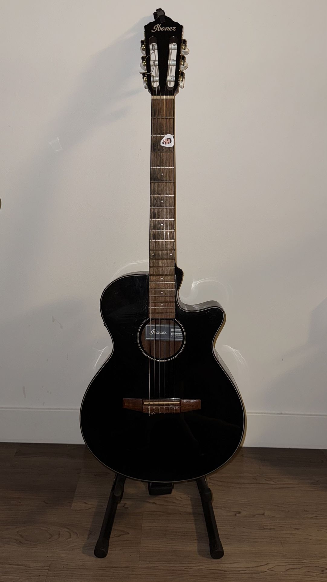 Ibanez Acoustic Guitar