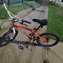 20 Inch Boys Magna Raw Claw Bicycle. 