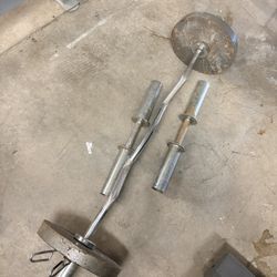 Curl Bar
