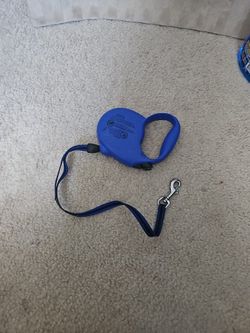 Dog Leash Used