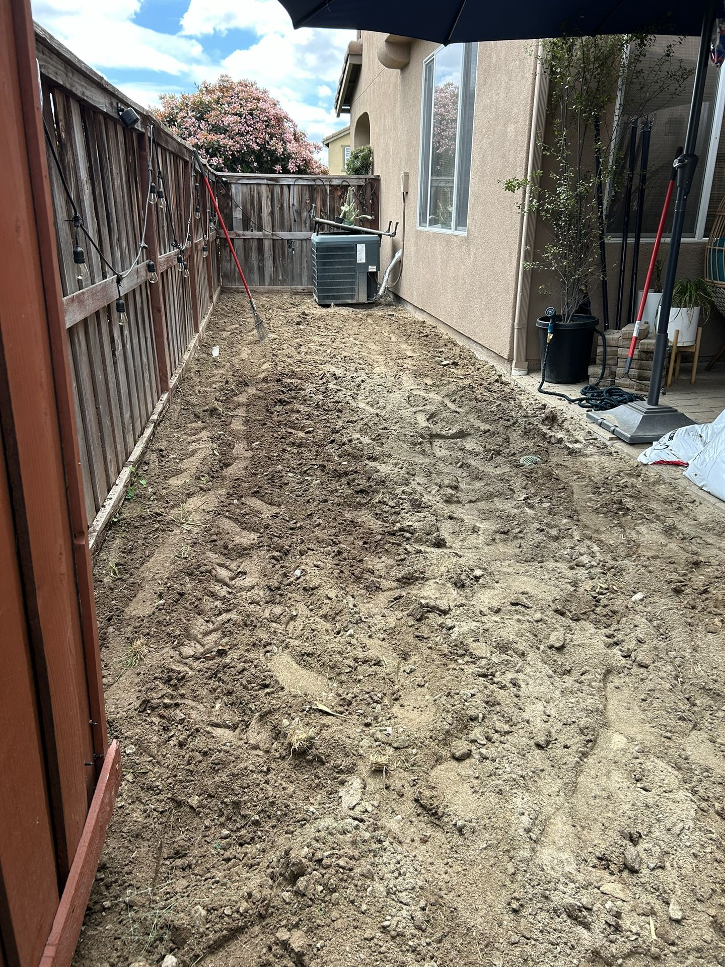St. Agustine SOD installation $3