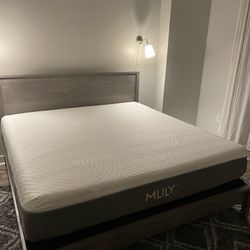 NEED GONE ASAP-KING AND QUEEN MATTRESS