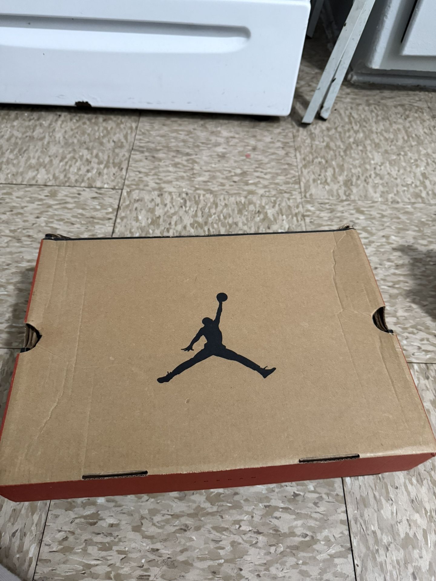 Jordan 12 Twist Size 10