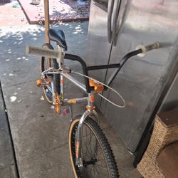 Gt Bmx 