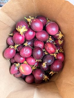 Passion fruit