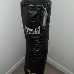 Everlast Punching Bag