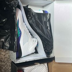 Jordan Retros , Grapes & Breds Size 9.5