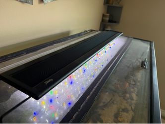 Aquarium light