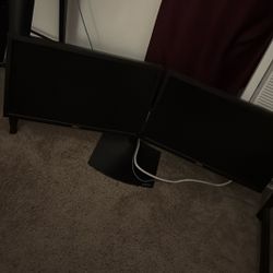 2 Monitors With Mount