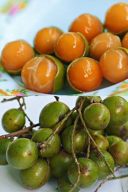 Genip (Canepas)