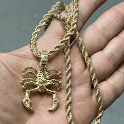 14k premium, gold, plated rope necklace, and scorpion pendant✨✨✨