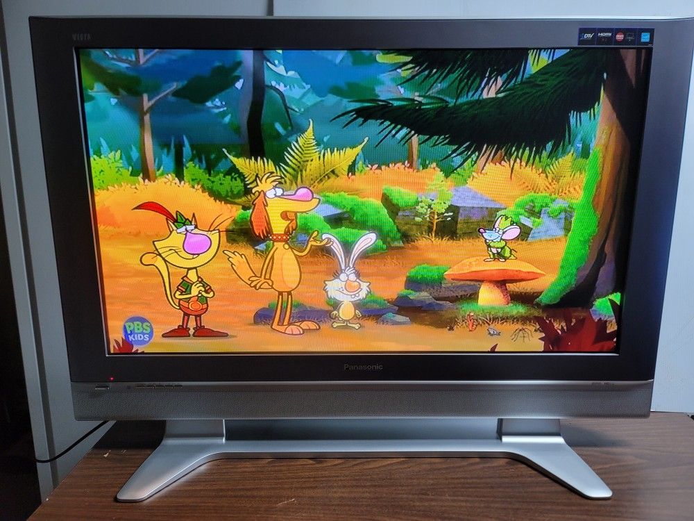 Panasonic 42inch Plasma TV