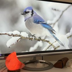 Asus 1080p Monitor