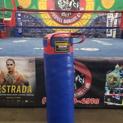 Punching Bag 