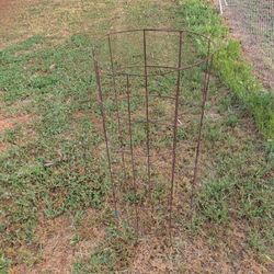 Tomato Cages 
