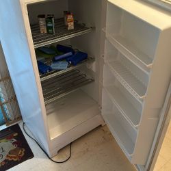 Upright Freezer 