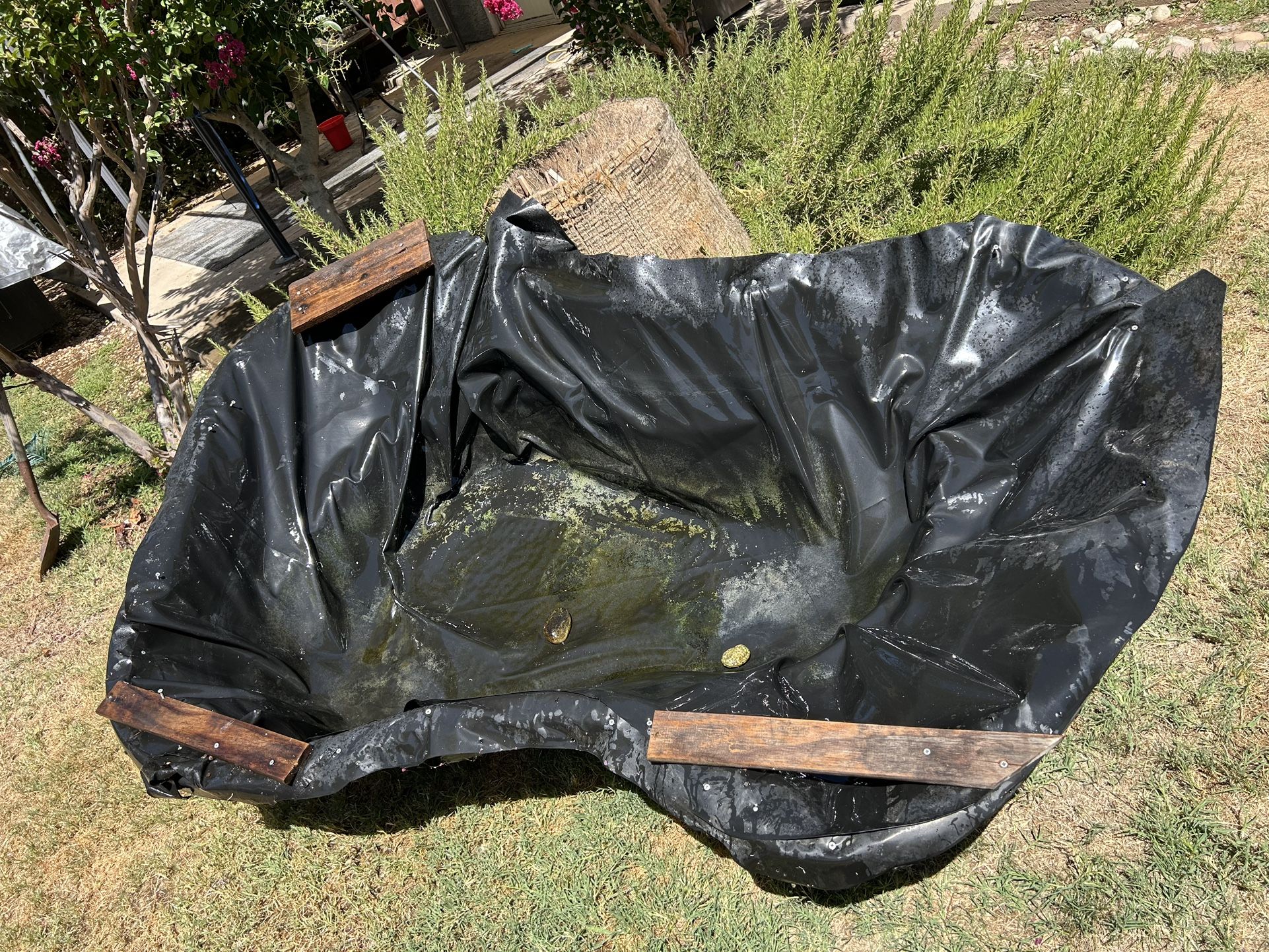 Plastic Pond