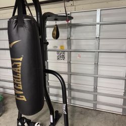 Everlast 2 Station Dual Heavy Duty Powder Coated Steel Heavy and Speed Bag Stand