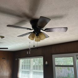 Ceiling Fan