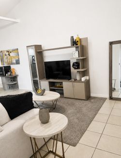 TV Entertainment Wall Unit