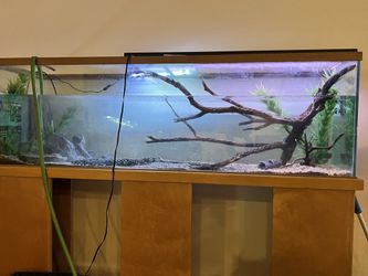 Tanks And Stand 125gal Holds Water