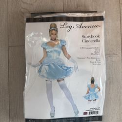 Princess Costume