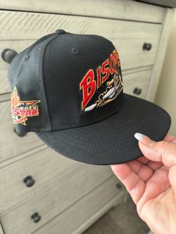 Bison hat