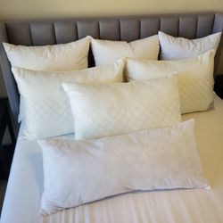 Tommy Bahama Bed Pillows And Feather Dow Pillows Insert 