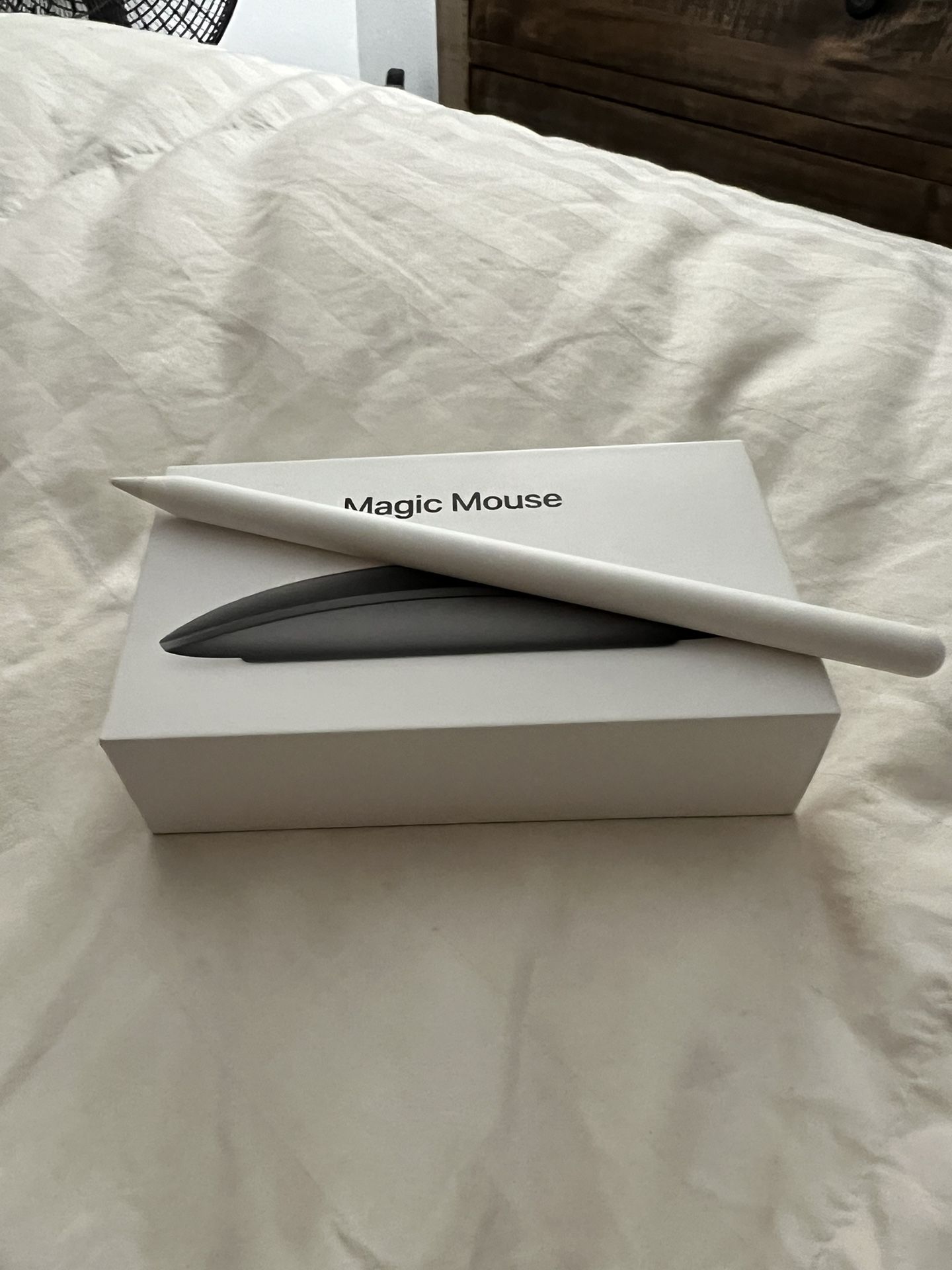 Apple Magic Mouse And Magic Pen