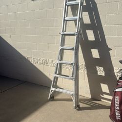 Werner Extendable Ladder