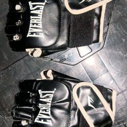 Everlast Martial Arts Gloves