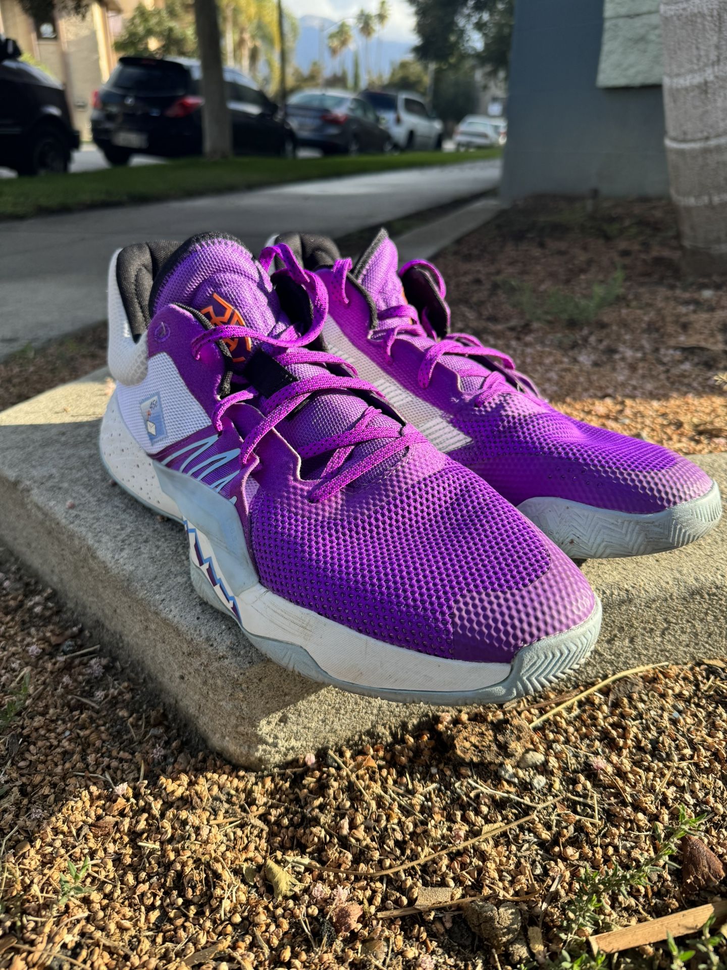 Karl Malone Mailman Don Issue RARE Adidas Issue Mailman Karl