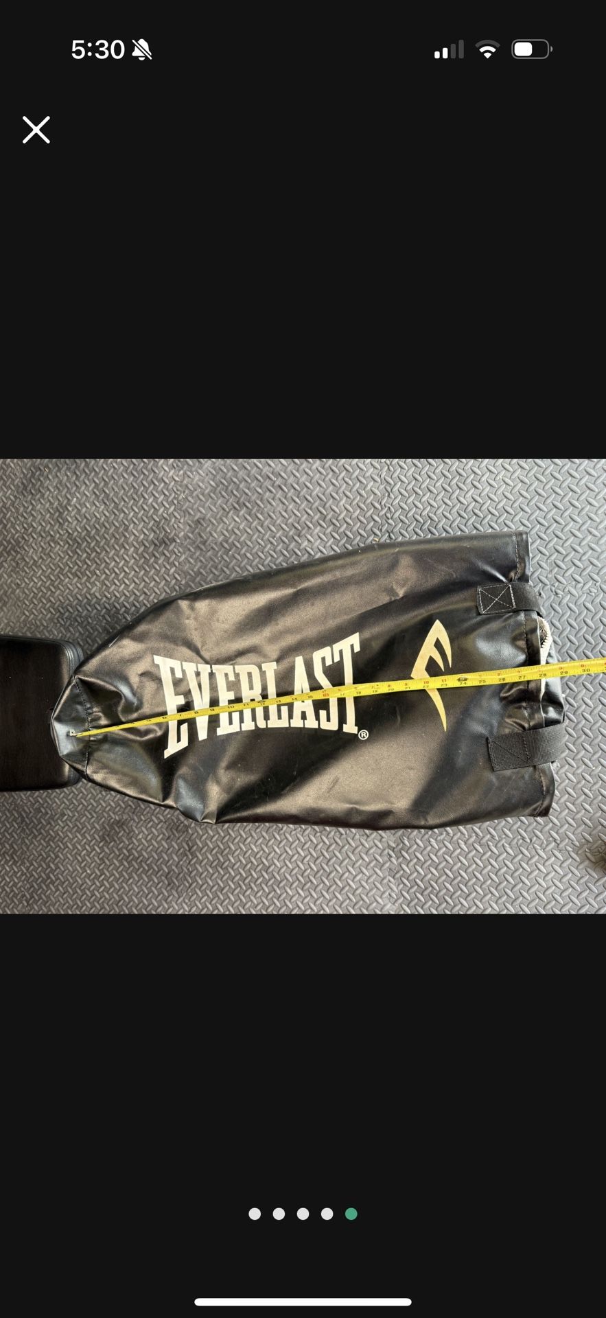 Everlast Punching Bag Empty