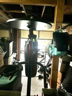 Everlast punching bag and speed bag with stand.