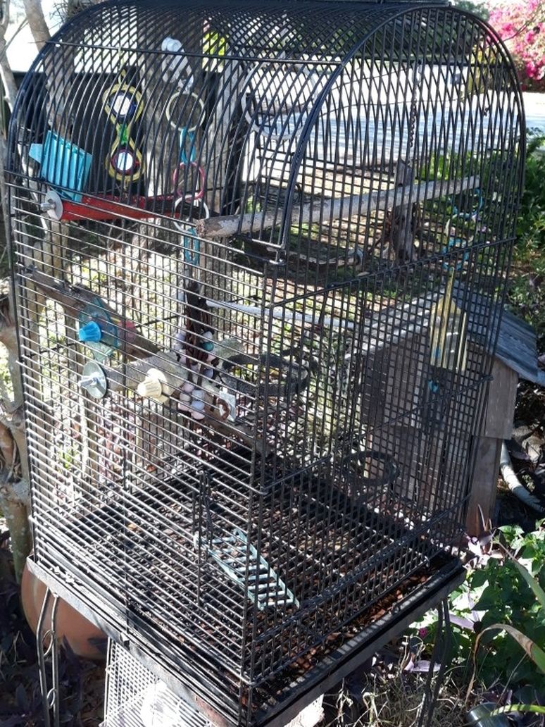 Bird Cage