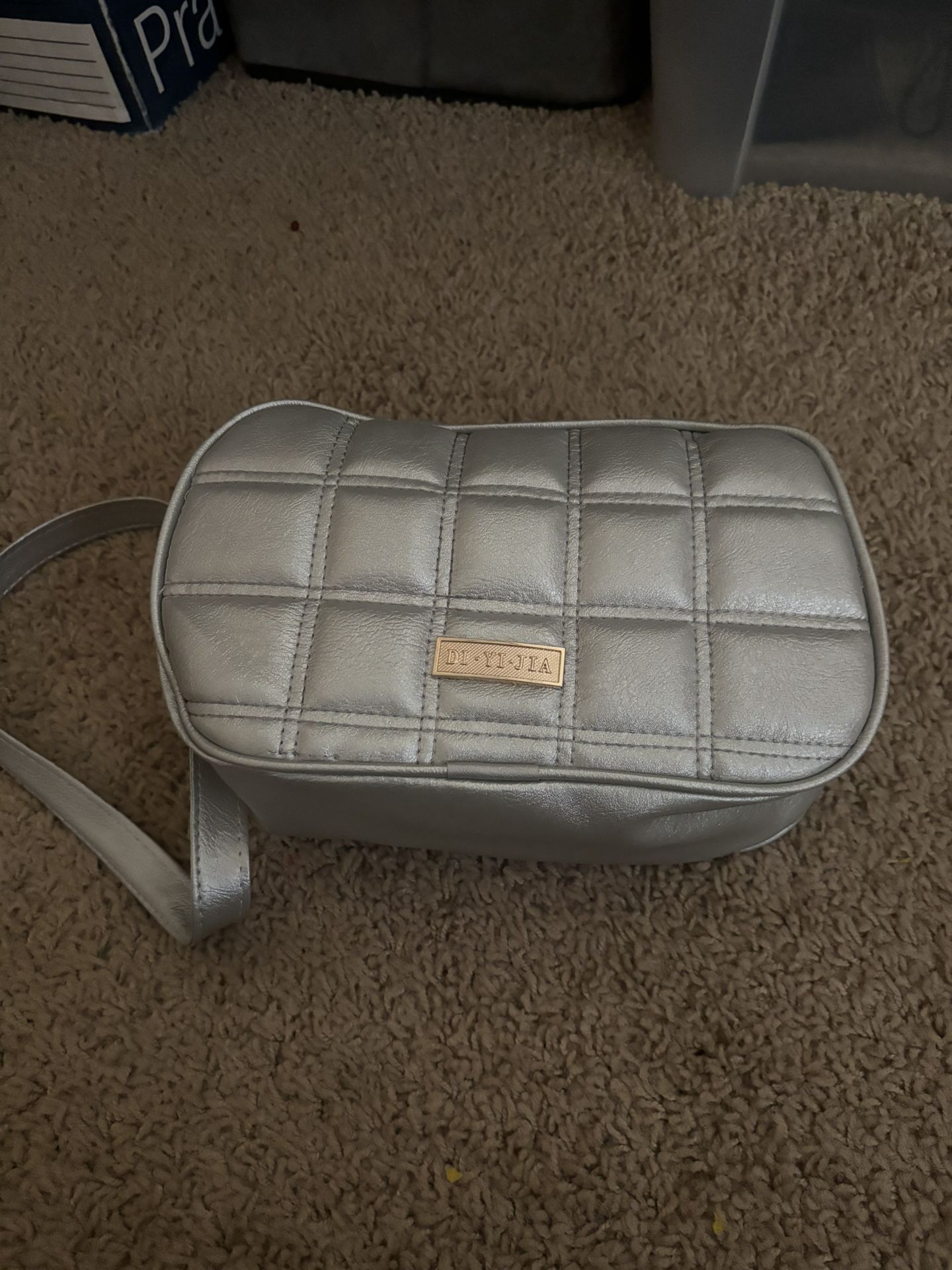 Silver Bag