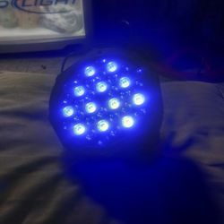 Party Lights 