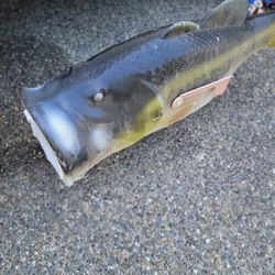 Fish Mailbox