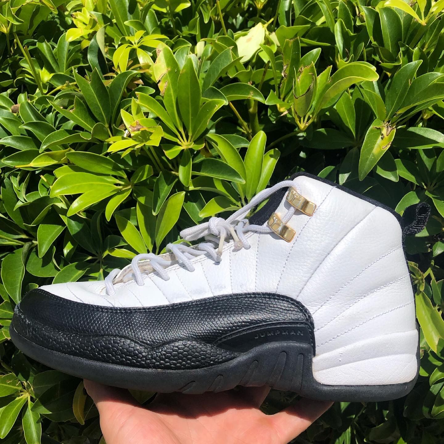 Jordan 12 OG “Taxi”(1997)