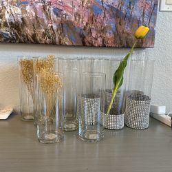 Set of Glass Cylinder Vase of 12