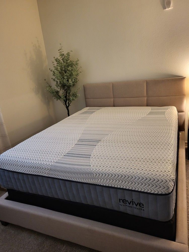 Queen Size Mattress, Box Spring, And Bed Frame With Headboard