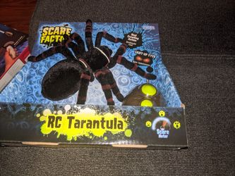 Control remote Tarantula by Scare facts