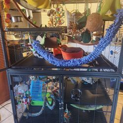 Critter Nation Cage With All Supplies 
