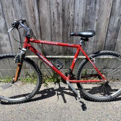 Specialized rockhopper Mountain Bike