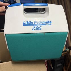 Igloo Cooler Travel Size 